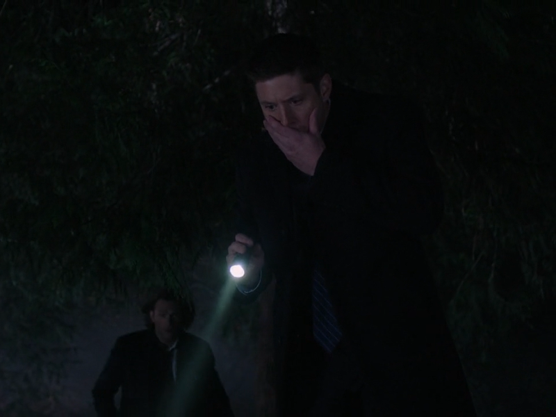 Foto 48 de Sobrenatural (12ª Temporada)