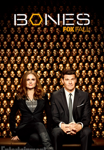 Bones (9ª Temporada) (Bones (Season 9))