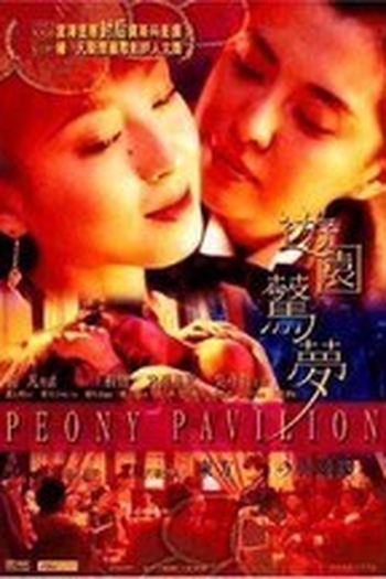 Poster de Filme Youyuan jingmeng (2001)