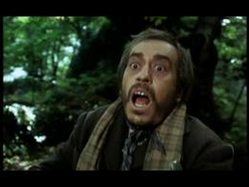 Foto 2 de El bosque del lobo