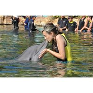Foto de perfil de Jessica