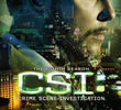 CSI: Investigação Criminal (8ª Temporada)
