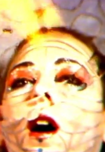 Signal Cross Over (Signal Cross Over)