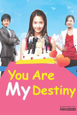 You Are My Destiny (너는 내 운명 / Neoneun Nae Unmyeong)