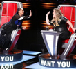 The Blind Auditions, Part 5