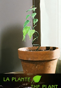 A Planta (La plante)