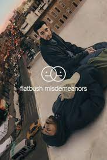 Flatbush Misdemeanors (1ª Temporada) - Poster / Capa / Cartaz - Oficial 1