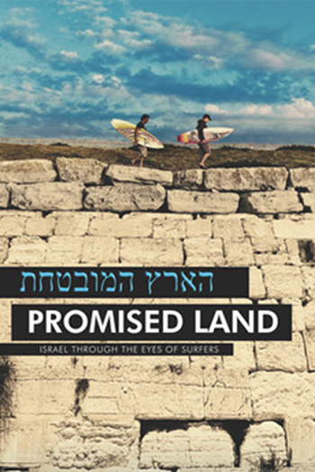 Poster de Filme Promised Land (2011)