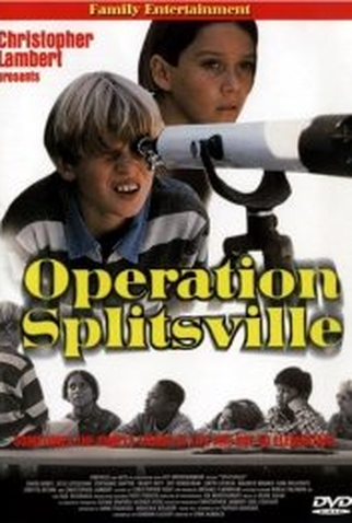 Poster 1 de Filme Nada Em Comum  (1998)