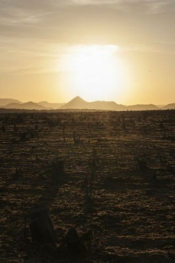 Poster de Curta Cidade Nova (2015)