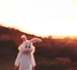 Mars Argo: Runaway Runaway