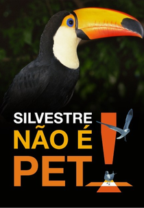 Silvestre Não é Pet! (Silvestre Não é Pet!)