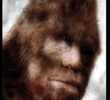 Bigfoot: Man or Beast?