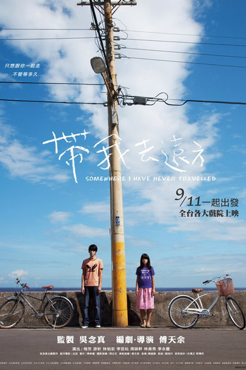 Poster de Filme Somewhere I Have Never Travelled (2009)