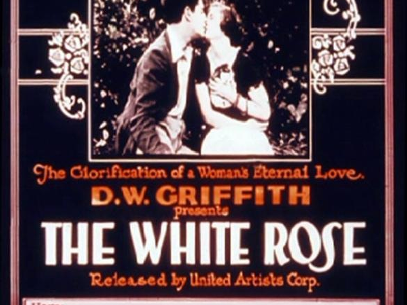 Foto 1 de A Rosa Branca