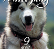 White Fang
