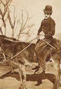 The Stranger (The Stranger)