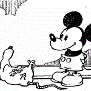 Foto de perfil de Anderson