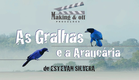 As Gralhas e a Araucária