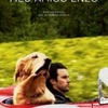 Crítica: Meu Amigo Enzo (“The Art of Racing in the Rain”) | CineCríticas
