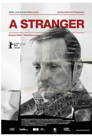 Poster 1 de Filme A Stranger (2013)