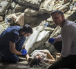 The Doctor Whose World Collapsed