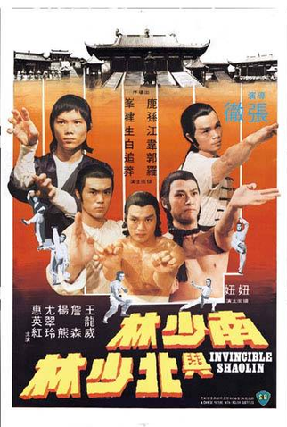 Poster 3 de Filme Shaolin Invencível (1978)