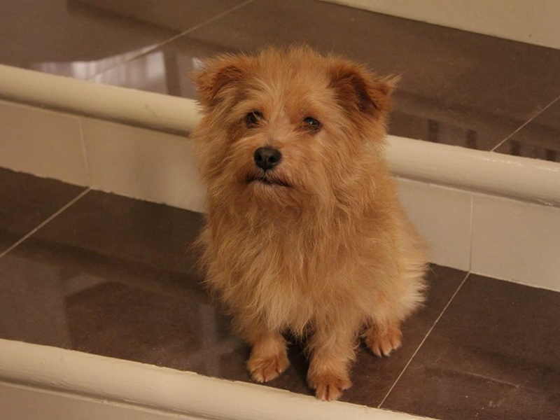 Foto 25 de Meu Coração é Teu