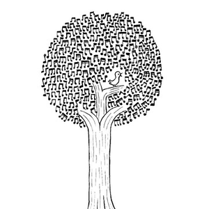 Foto de perfil de Lua