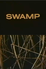 Swamp (Swamp)