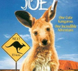 Joey: Um Canguru em Apuros