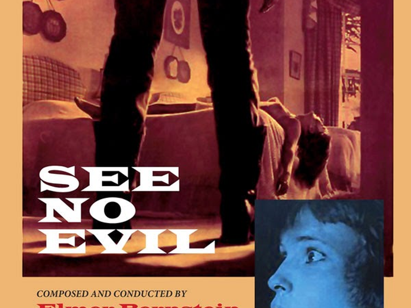 Foto 1 de Terror Cego