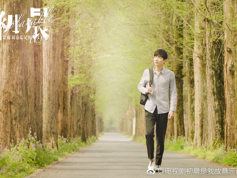 Foto 1 de Irreplaceable Love