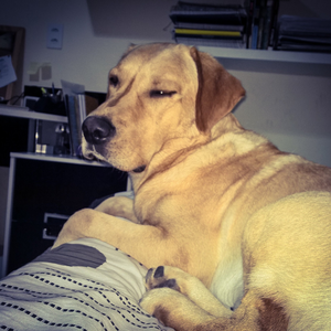 Foto de perfil de Beatriz