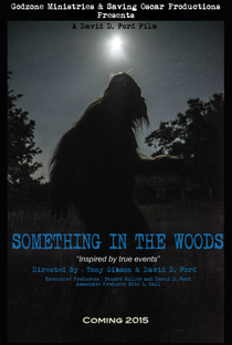 Something in the Woods - Poster / Capa / Cartaz - Oficial 2