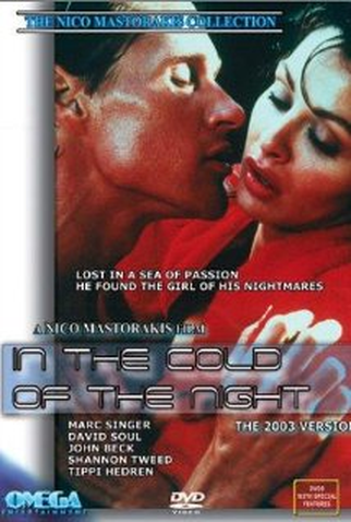 Poster 1 de Filme No Frio da Noite (1990)