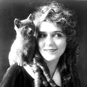 Foto de perfil de Beatris Silva