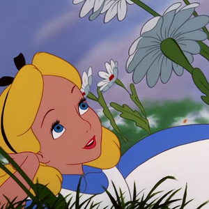 Foto de perfil de Alice