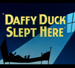 Daffy Duck Slept Here