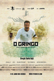 O Gringo - Poster / Capa / Cartaz - Oficial 2