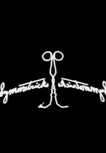 Symmetricks (Symmetricks)