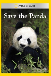 Salve o Ursinho Panda - Poster / Capa / Cartaz - Oficial 2
