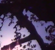 Light Point