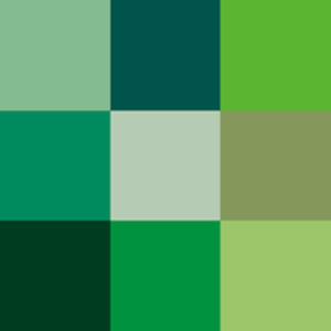 Foto de perfil de reysko