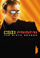 CSI: Miami (6ª Temporada)