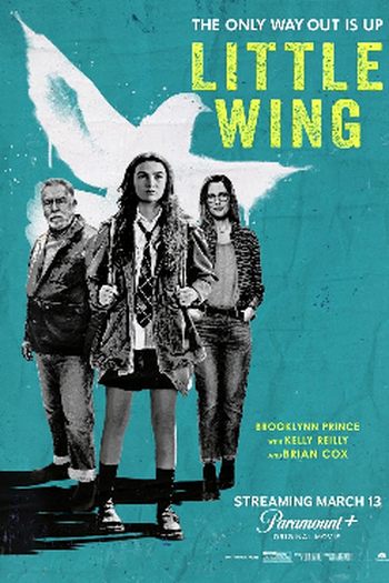 Poster de Filme Little Wing (2024)