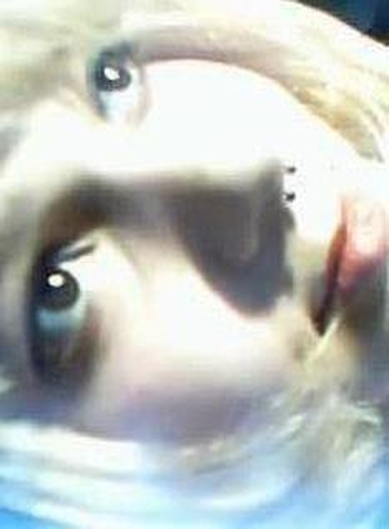 Ana Beatriz - Foto 3