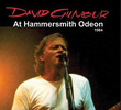 David Gilmour at Hammersmith Odeon