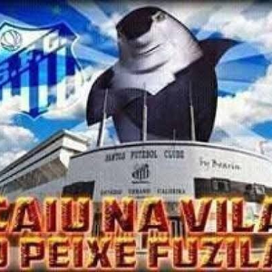 Foto de perfil de Miranda