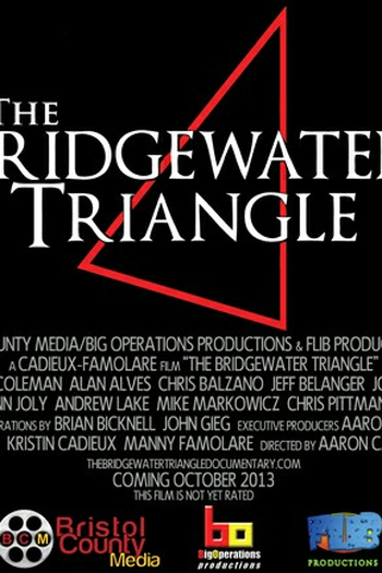 Poster de Filme O Triângulo Bridgewater (2013)